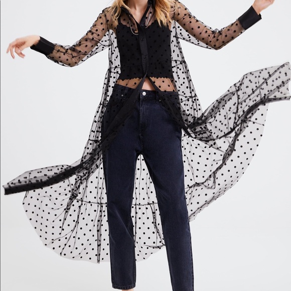 sheer polka dot dress zara